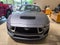 2025 Ford Mustang GT Premium 60TH ANNIVERSARY PACKAGE