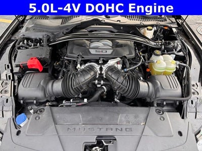 2024 Ford Mustang Dark Horse