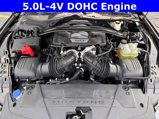 2024 Ford Mustang Dark Horse