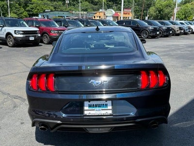 2021 Ford Mustang EcoBoost
