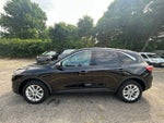 2022 Ford Escape Hybrid SE